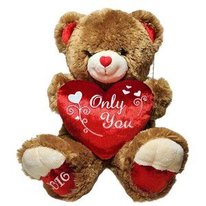 Walmart Dream Valentine's Day Bear Plush Velvet Heart Only You 16 Stuffed Animal